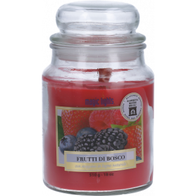 CANDELA GIARA FRUTTI DI BOSCO 510GR